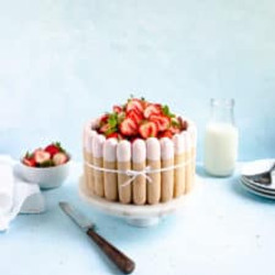 Strawberry Champagne Charlotte
