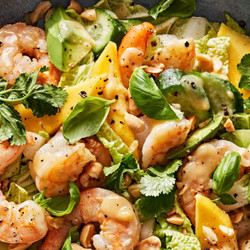 Shrimp &amp; Mango Salad