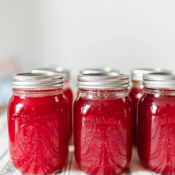 Raspberry Lemonade Concentrate