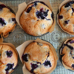 Jordan Marsh’s Blueberry Muffins