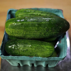Small Batch Refrigerator Pickles