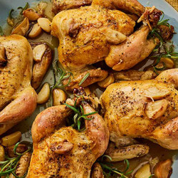 Cornish Game Hens With Garlic And Rosemary *** Threestars