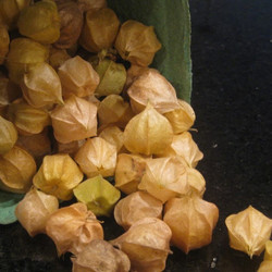 Ground Cherry Muffins