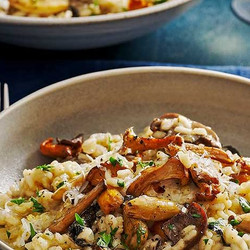 Wild Mushroom Risotto