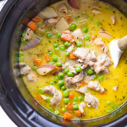 Slow Cooker Creamy Vegetable Chicken Stew