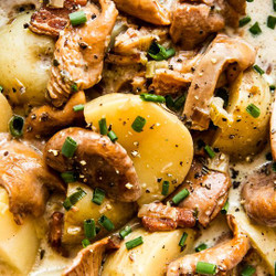 Wild Mushroom Chowder With Bacon And Leeks