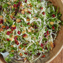 Thanksgiving Slaw