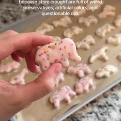 Homemade Circus Animal Cookies