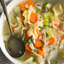 Homemade Chicken Noodle Soup Recipe