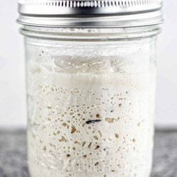 Gluten Free Sourdough Starter