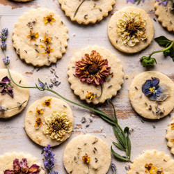 Lavender Lemon Sugar Cookies