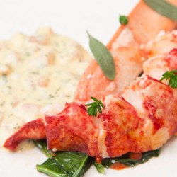 Sous Vide Lobster With Sauce Choron