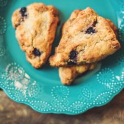 Blueberry Vanilla Scones (gluten-free)