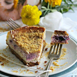 Meyer Lemon Blueberry Cheesecake Recipe