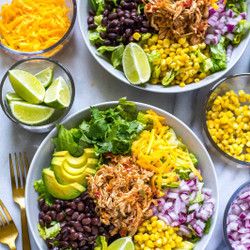 Instant Pot Salsa Chicken {meal Prep}
