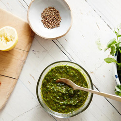 Blender Chermoula Sauce