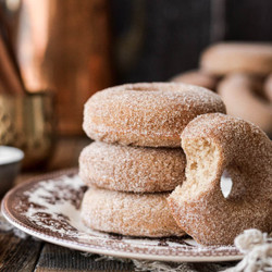 High Altitude Baked Whole Wheat Cinnamon Sugar Donuts