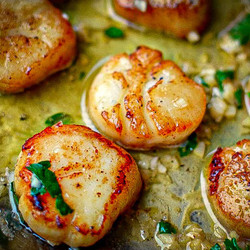 Seared Scallops With Garlic Lemon Butter