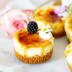 Mini Crème Brulee Cheesecakes