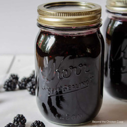 Seedless Blackberry Jam