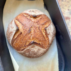 Honey Whole Wheat Sourdough Artisan Bread