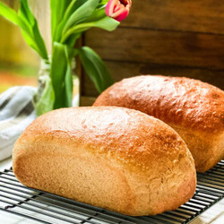 100% Whole Wheat Bread Recipe