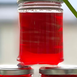 The Modern Preserver's Pickled Beetroot Recipe