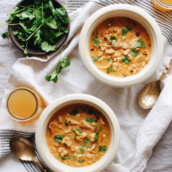 Chicken Salsa Soup