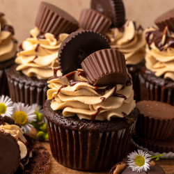 Ultimate Chocolate Peanut Butter Cupcakes