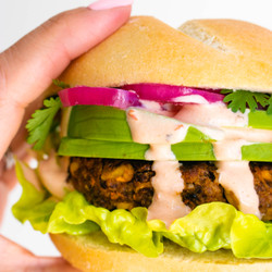 Mexican Black Bean Burger