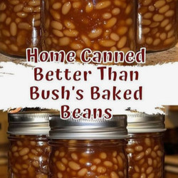 Home Canned Better Than Bush’s Baked Beans