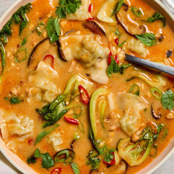Red Curry Dumpling Soup