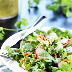 Cilantro Lime Vinaigrette {zesty Mexican Salad Dressing}