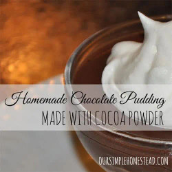 Old Fashioned Chocolate Pudding With Cocoa Powder - Grandma's Recipe