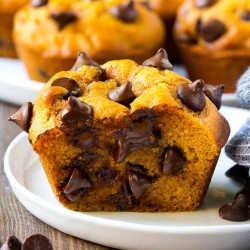 Pumpkin Chocolate Chip Muffins