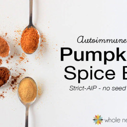 Aip Pumpkin Pie Spice Blend - No Seed Or Berry Spices!