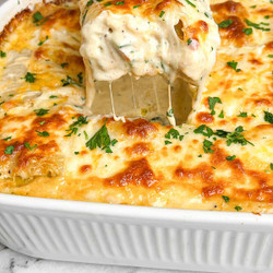 Blackened Chicken Alfredo Lasagna Roll Ups