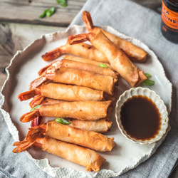 Easy Shrimp Spring Rolls